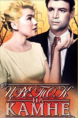 Цветок на камне (1962)