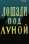 Лошади под луной (1979)