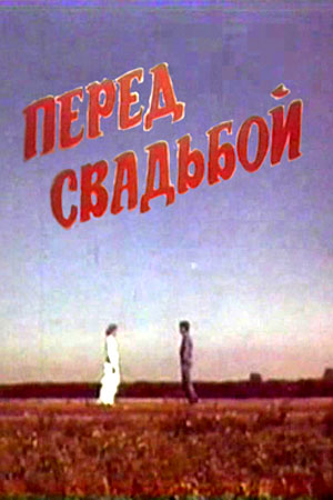 Перед свадьбой (1987)