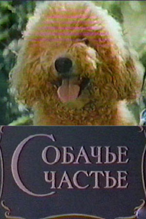 Собачье счастье (1991)